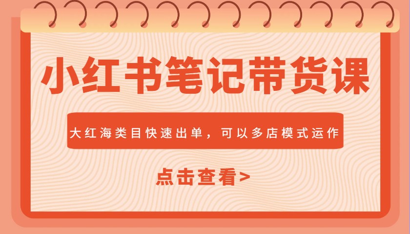 小红书笔记带货课，大红海类目快速出单，市场大，可以多店模式运作(更新)好项目网-专注分享网络创业项目落地实操课程 – 全网首发_高质量创业项目输出好项目网